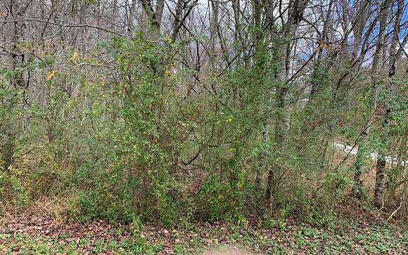 1.7 Acres of Residential Land for Sale in Hayesville, North Carolina