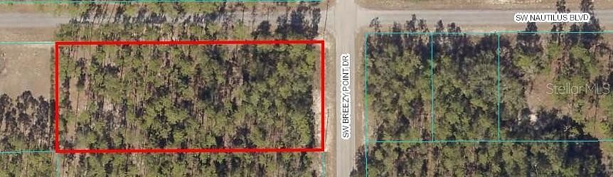 0.96 Acres of Residential Land for Sale in Dunnellon, Florida