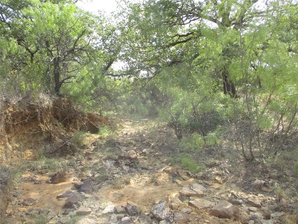 23 Acres of Land for Sale in Loving, Texas