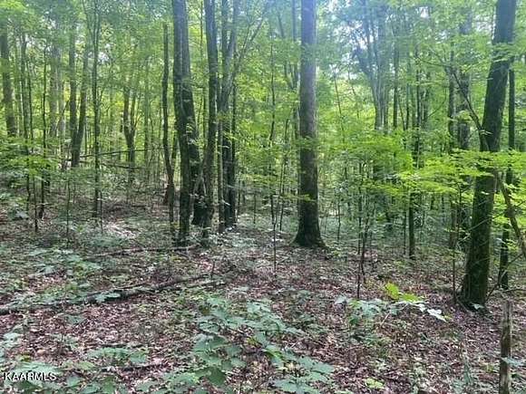 2.28 Acres of Residential Land for Sale in Newport, Tennessee