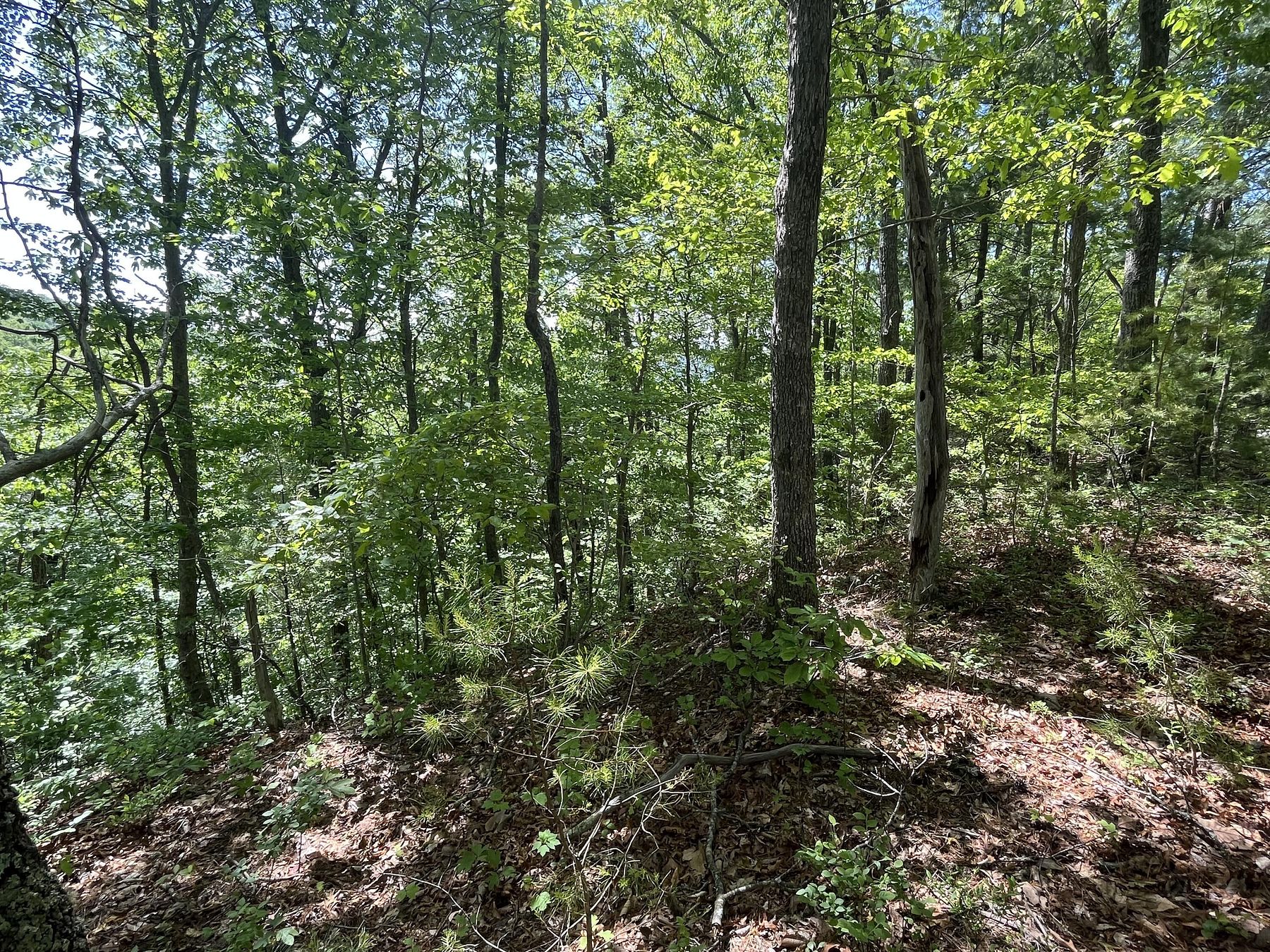 22 Acres of Recreational Land for Sale in Del Rio, Tennessee