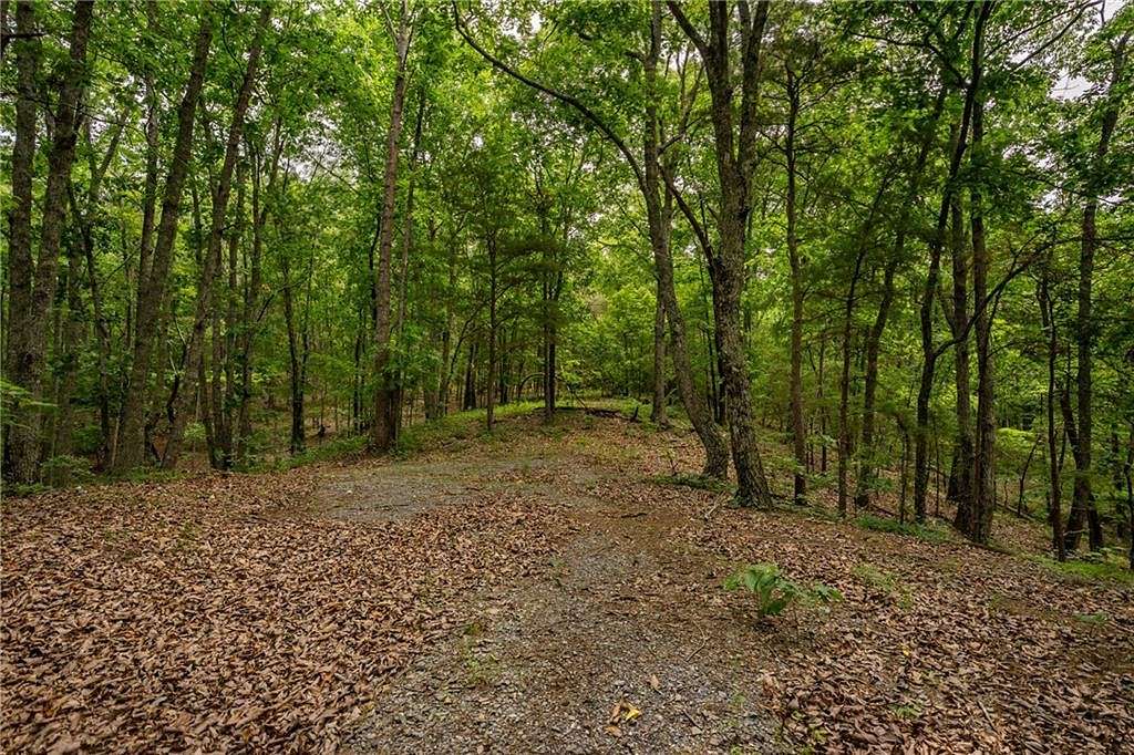 19.8 Acres of Recreational Land for Sale in Ranger, Georgia