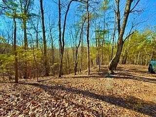 19.8 Acres of Recreational Land for Sale in Ranger, Georgia