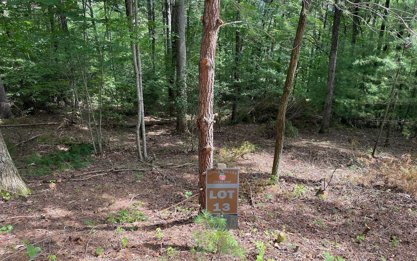 0.86 Acres of Residential Land for Sale in Blairsville, Georgia