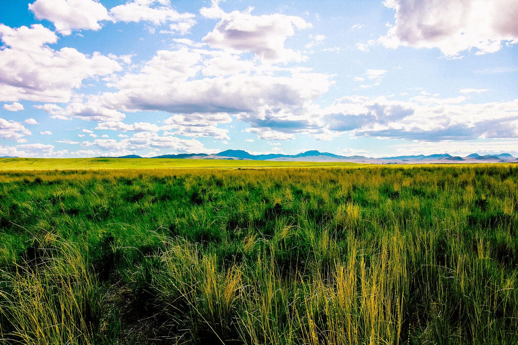 160 Acres of Recreational Land & Farm for Sale in Cascade, Montana