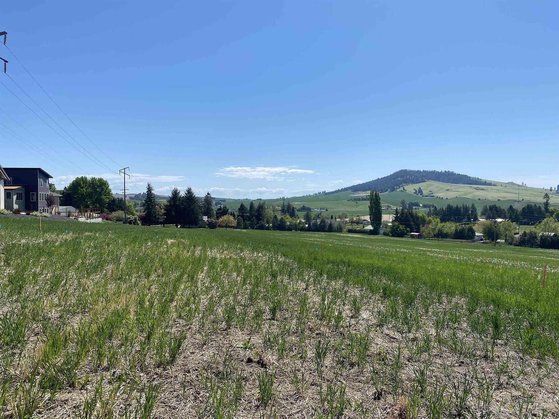 0.23 Acres of Land for Sale in Moscow, Idaho