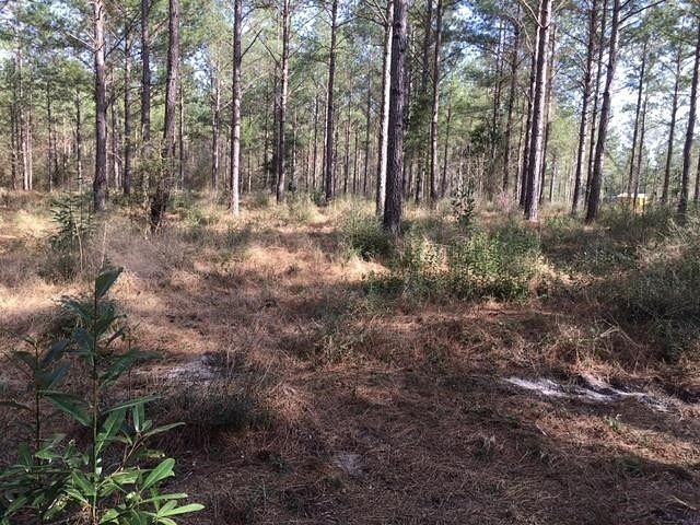 1 Acre of Land for Sale in Andalusia, Alabama