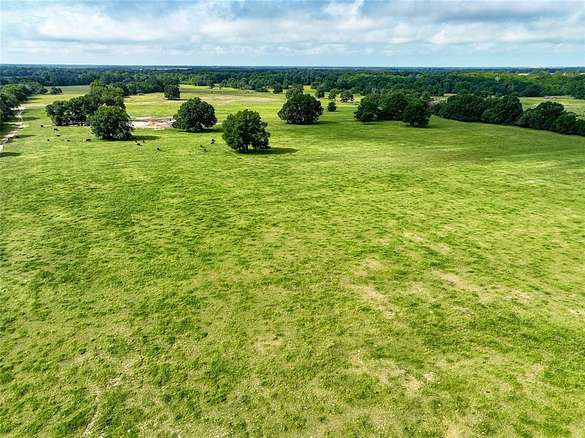 316 Acres of Agricultural Land for Sale in Detroit, Texas