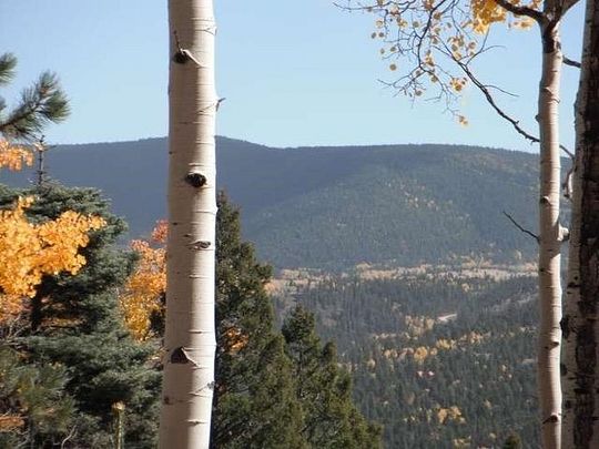 3.1 Acres of Residential Land for Sale in Angel Fire, New Mexico
