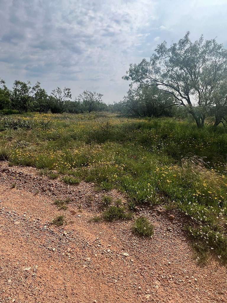 5 Acres of Residential Land for Sale in Justiceburg, Texas