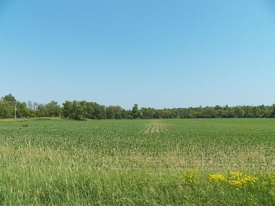 6 Acres of Land for Sale in Pulaski, Wisconsin