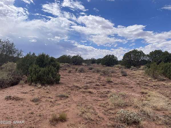 1.13 Acres of Residential Land for Sale in Snowflake, Arizona