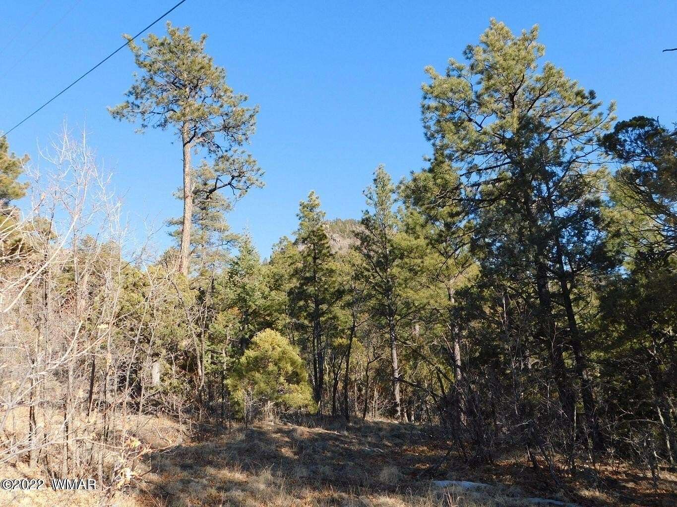 2 Acres of Residential Land for Sale in Nutrioso, Arizona