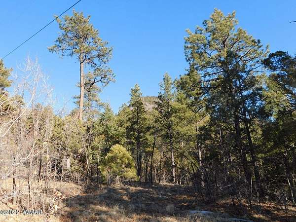 2 Acres of Residential Land for Sale in Nutrioso, Arizona