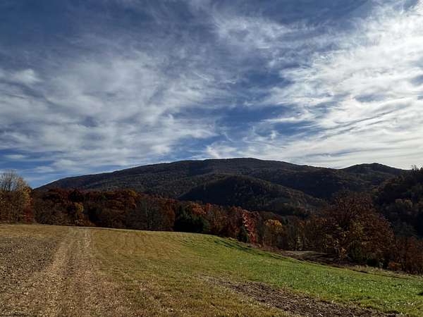 19 Acres of Land for Sale in Hambleton, West Virginia