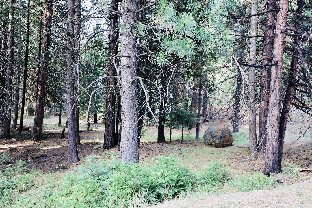 0.6 Acres of Residential Land for Sale in Lake Almanor West, California