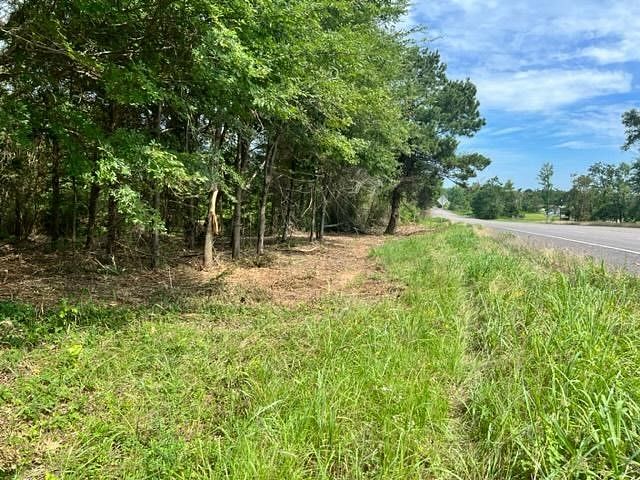 11 Acres of Land for Sale in Rocky Branch, Texas