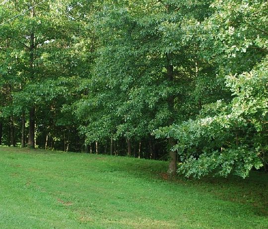 2.6 Acres of Residential Land for Sale in Point Pleasant, West Virginia