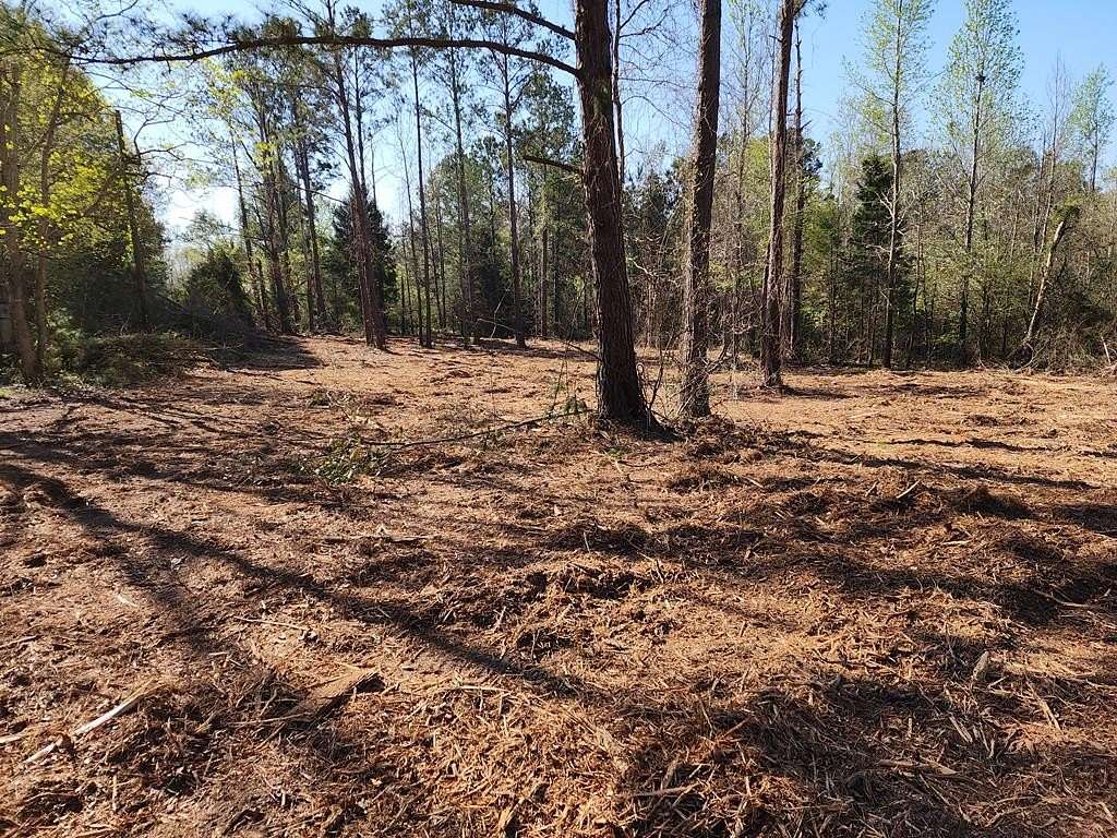 Residential Land for Sale in Georgetown, Georgia