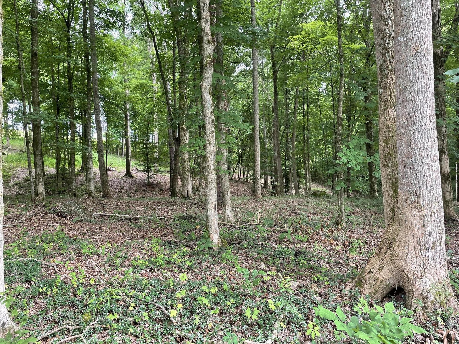 0.87 Acres of Land for Sale in Calhoun, Tennessee