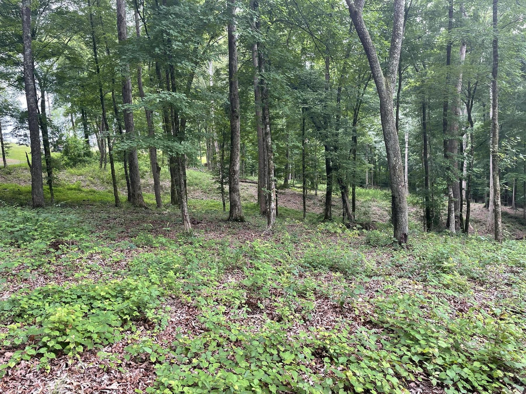 1.7 Acres of Land for Sale in Calhoun, Tennessee
