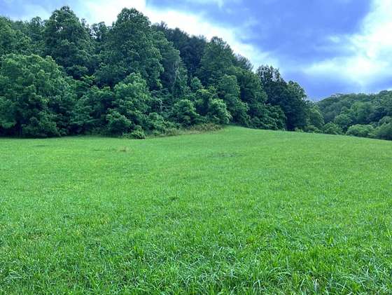 12.4 Acres of Improved Land for Sale in Sylva, North Carolina