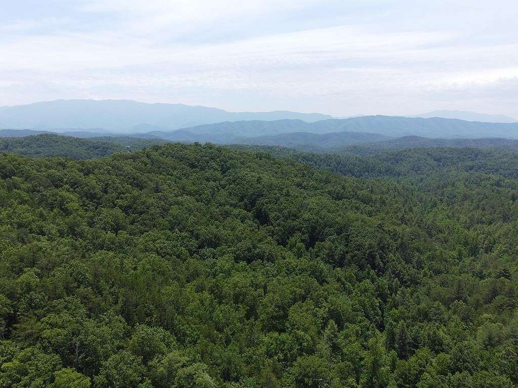 12.6 Acres of Land for Sale in Sevierville, Tennessee