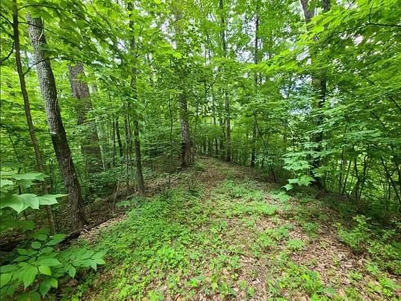 4.4 Acres of Land for Sale in Cosby, Tennessee