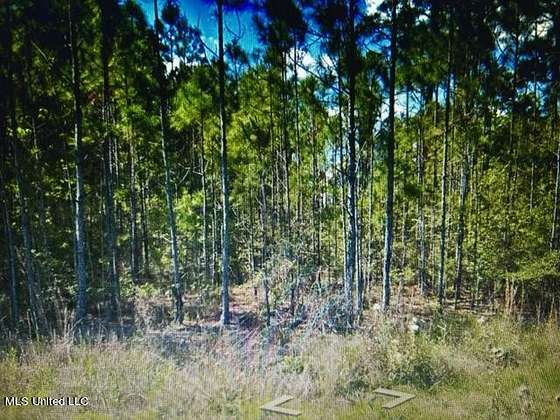 0.13 Acres of Residential Land for Sale in Bay St. Louis, Mississippi