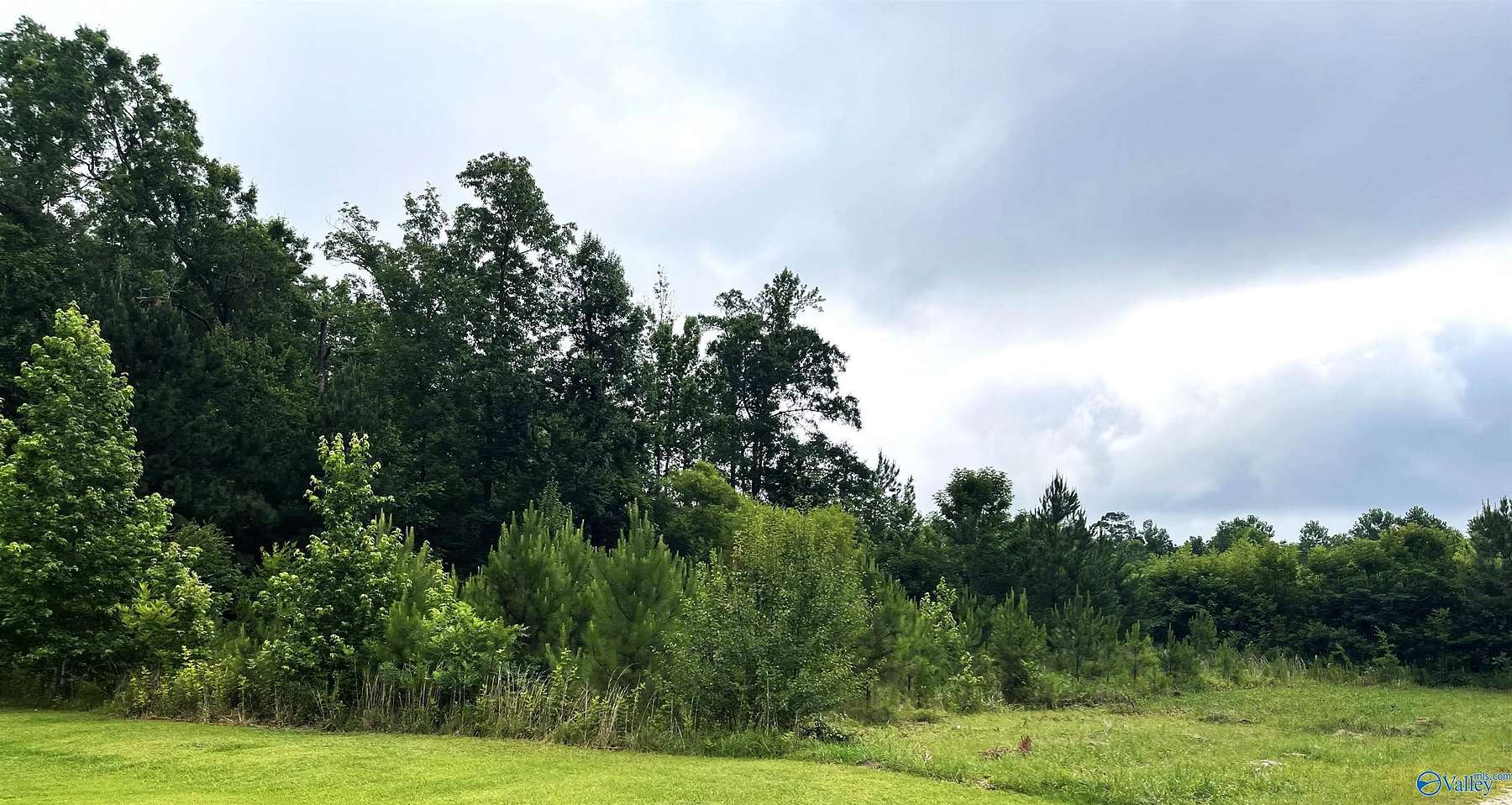 0.43 Acres of Residential Land for Sale in Glencoe, Alabama