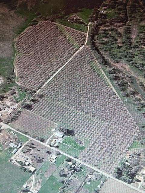 72.2 Acres of Agricultural Land with Home for Sale in Sanger, California