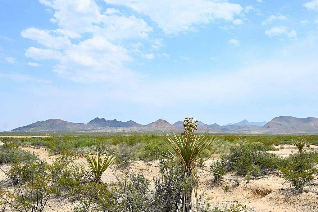 10 Acres of Recreational Land for Sale in Terlingua, Texas