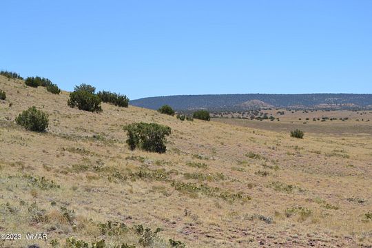 36.5 Acres of Recreational Land for Sale in Concho, Arizona