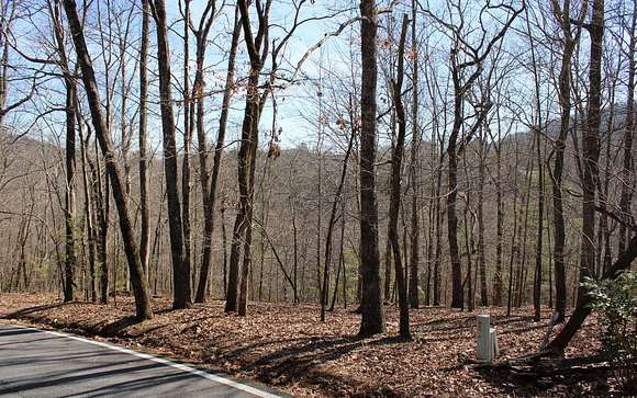 0.97 Acres of Residential Land for Sale in Big Canoe, Georgia