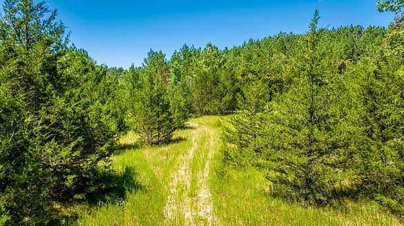 88 Acres of Recreational Land for Sale in Dierks, Arkansas