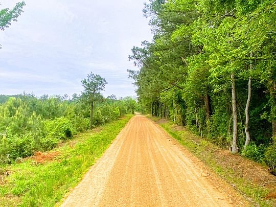 237 Acres of Recreational Land for Sale in Washington, Arkansas