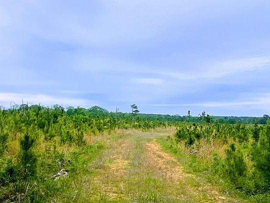 103 Acres of Recreational Land for Sale in McCaskill, Arkansas
