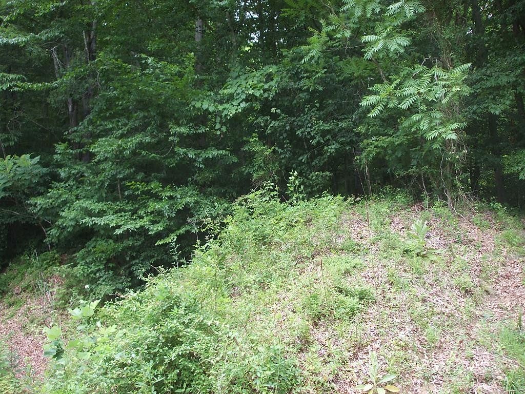29 Acres of Land for Sale in Tutor Key, Kentucky