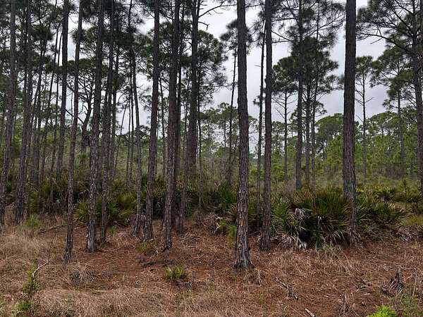 0.67 Acres of Residential Land for Sale in Panacea, Florida