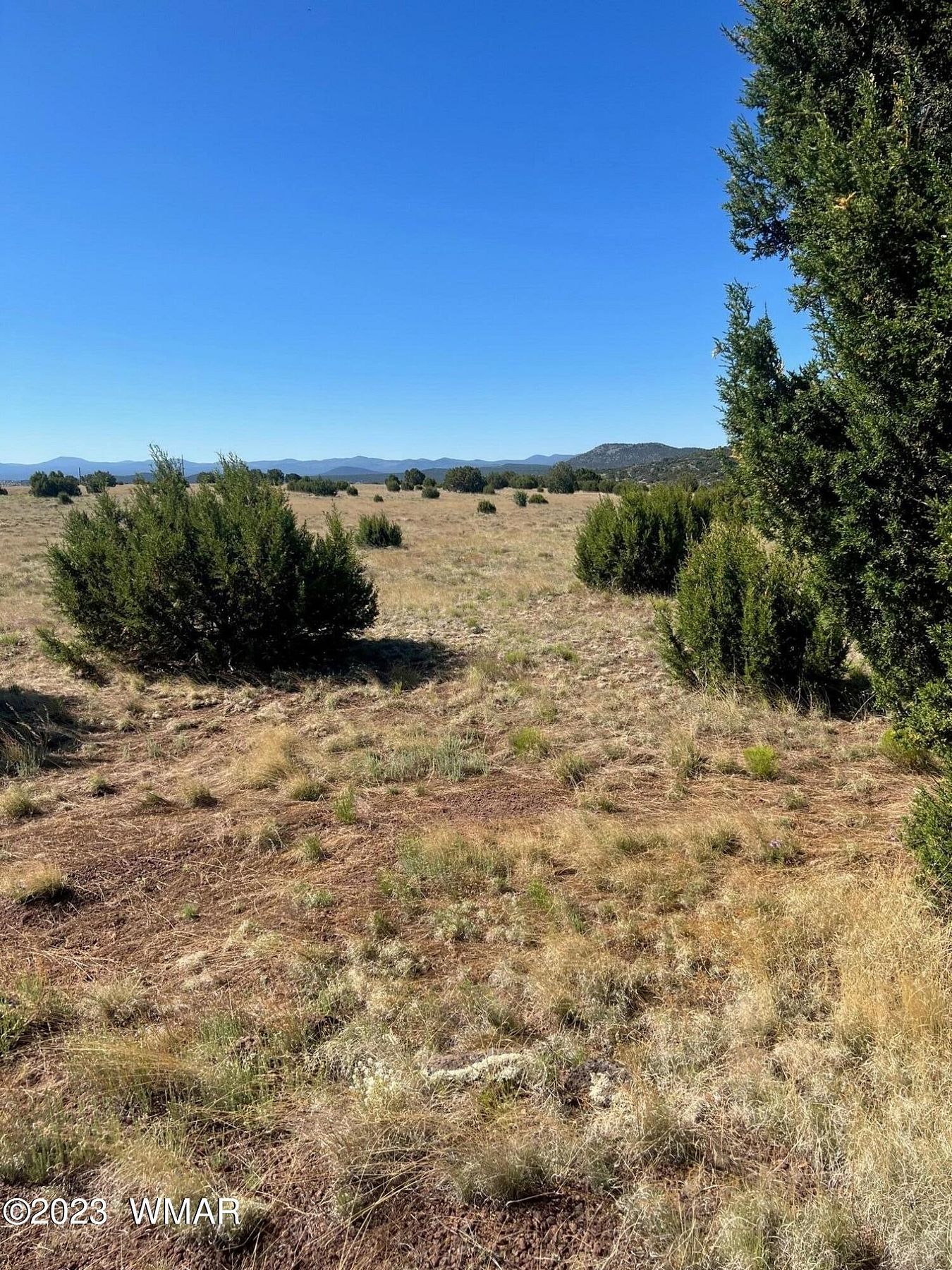 1.3 Acres of Residential Land for Sale in Concho, Arizona