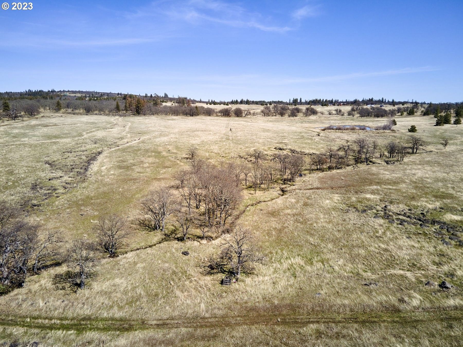 40 Acres of Land for Sale in Goldendale, Washington