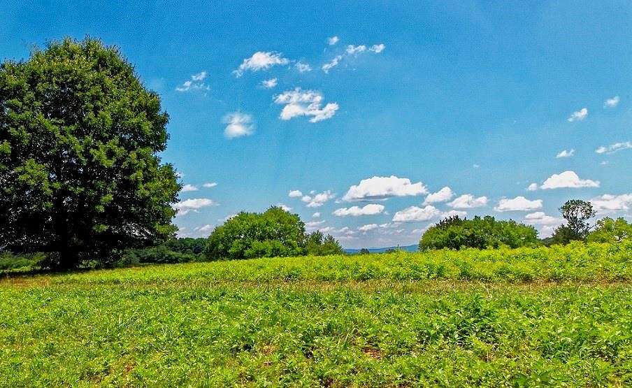 0.96 Acres of Residential Land for Sale in Calhoun, Georgia