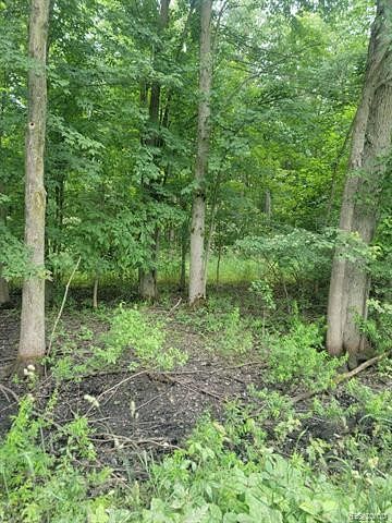 15 Acres of Land for Sale in Silverwood, Michigan