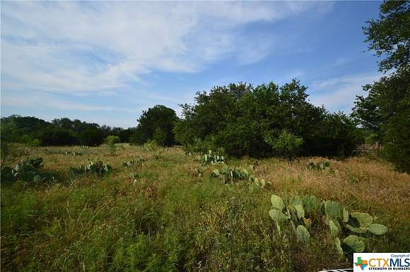 23.19 Acres of Land for Sale in Lometa, Texas