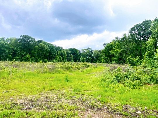 174 Acres of Recreational Land for Sale in De Queen, Arkansas - LandSearch