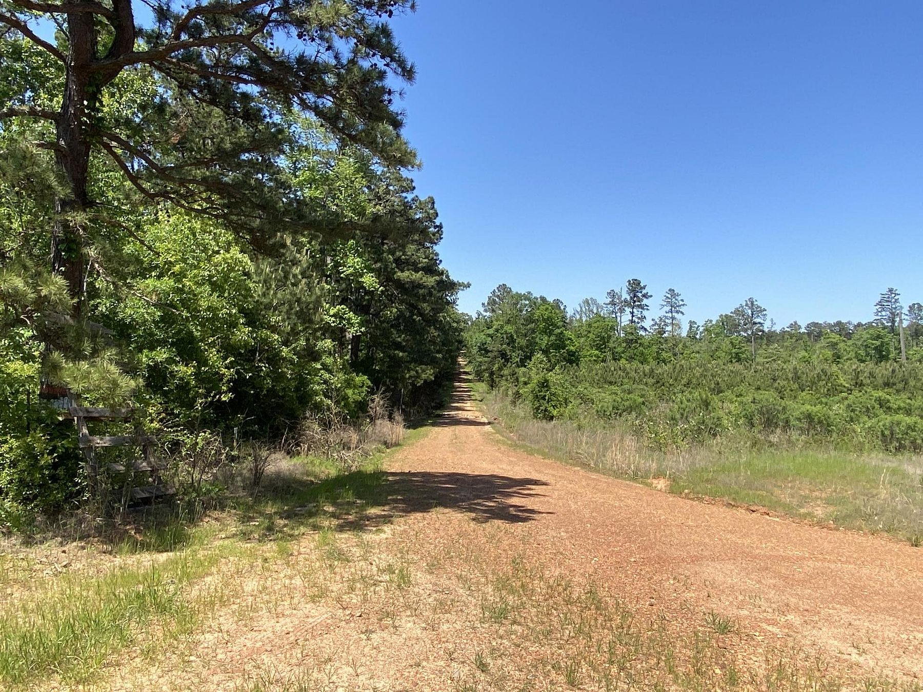 79.6 Acres of Recreational Land for Sale in Hope, Arkansas