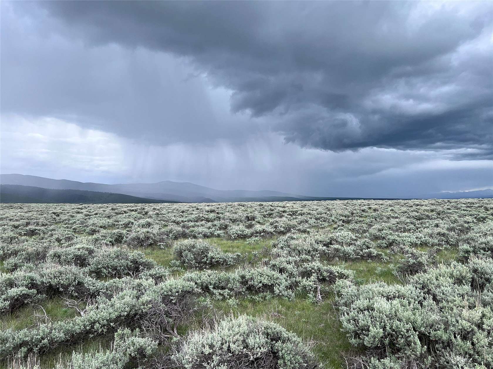 20 Acres of Recreational Land for Sale in Wisdom, Montana