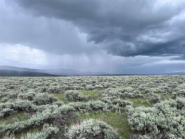 20 Acres of Recreational & Residential Land for Sale in Wisdom, Montana