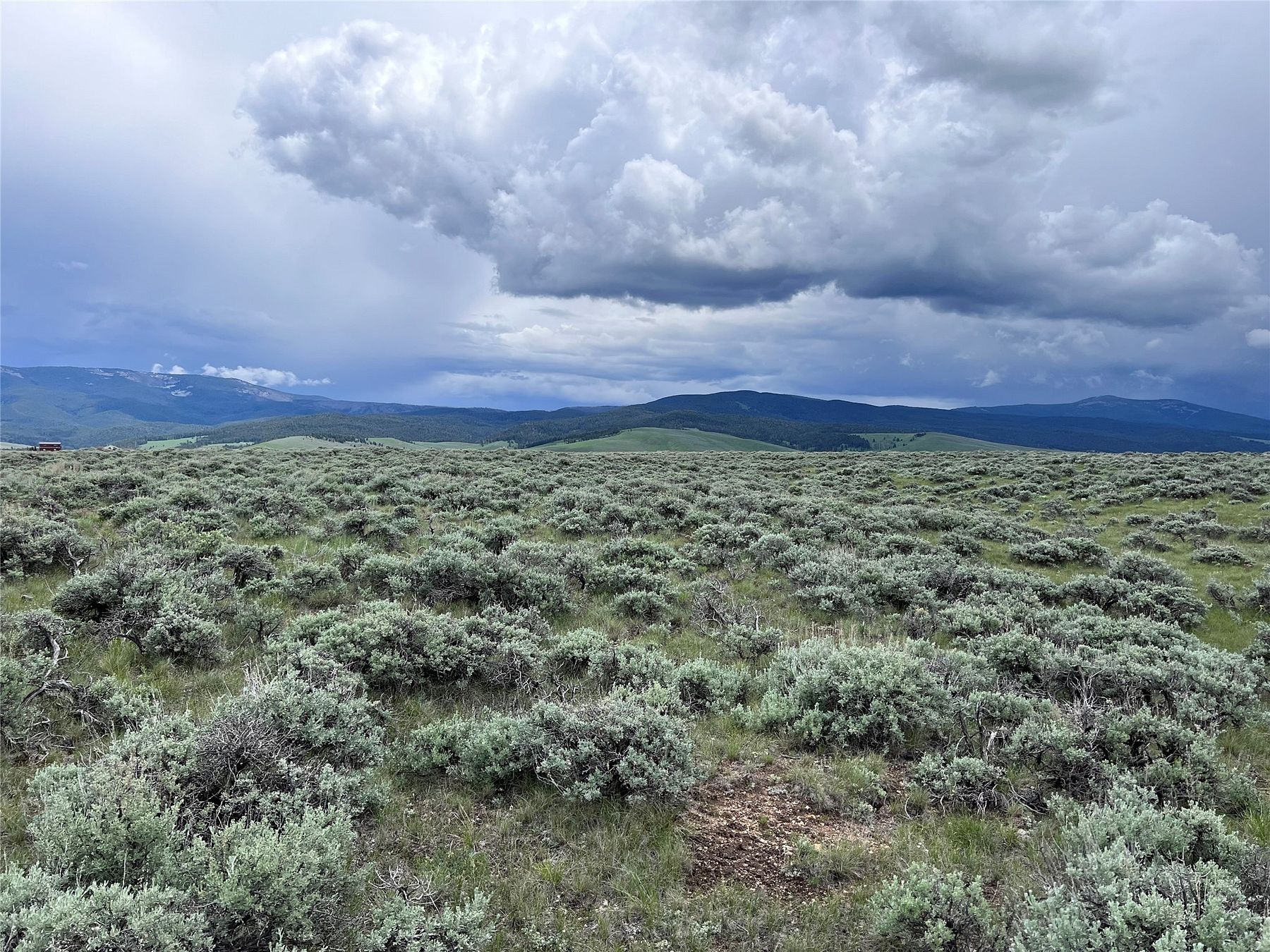 21.8 Acres of Recreational Land for Sale in Wisdom, Montana