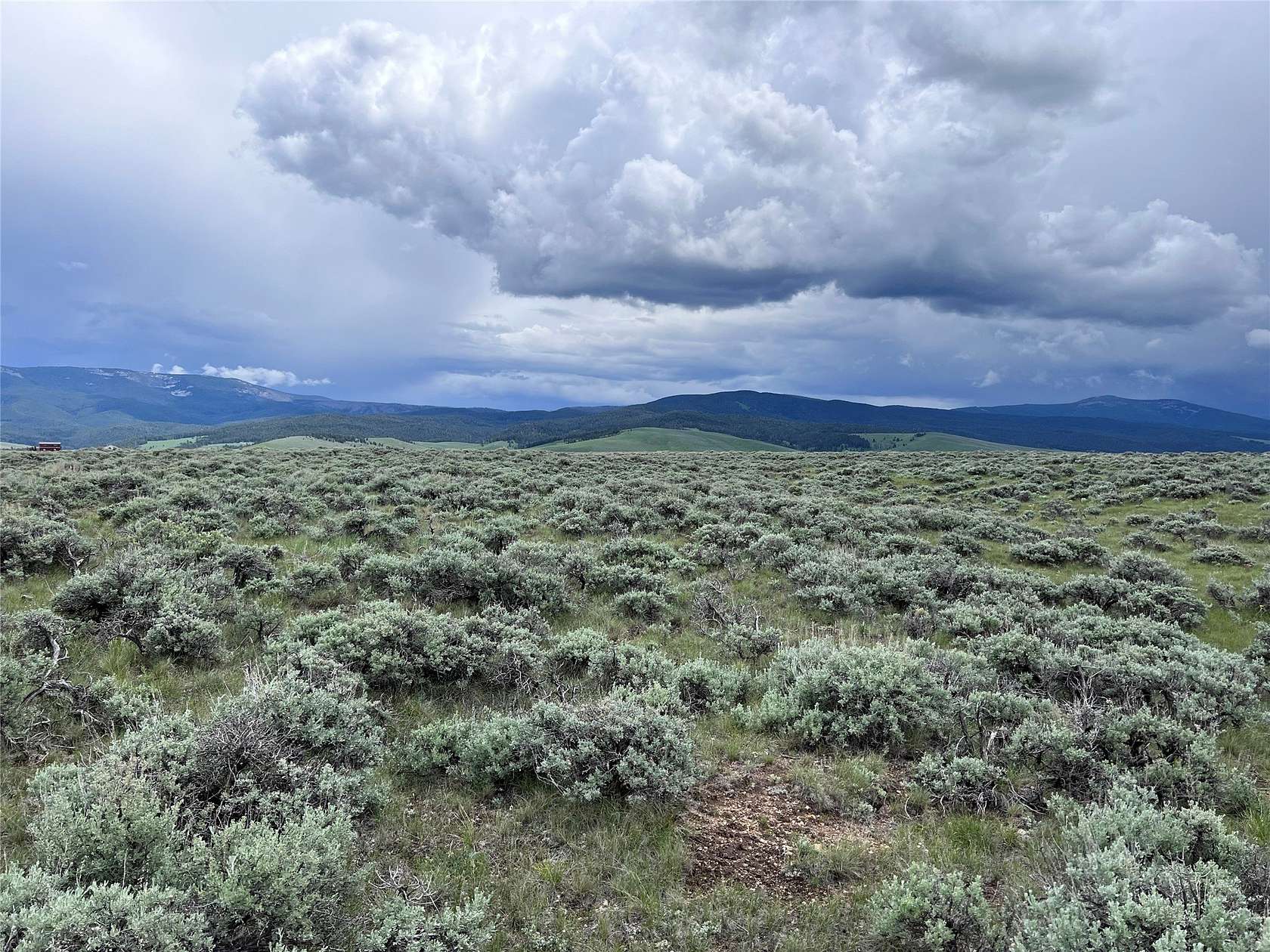 21.8 Acres of Recreational & Residential Land for Sale in Wisdom, Montana